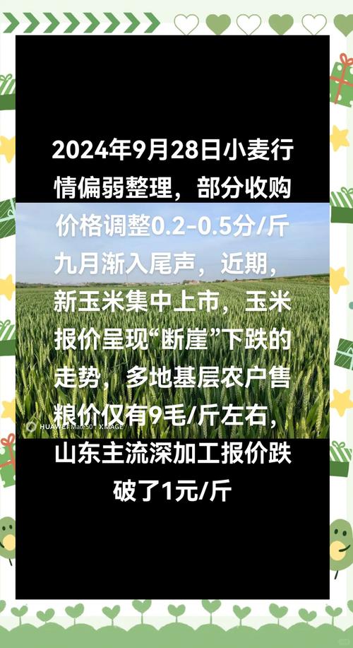 cbot实时行情大豆期货_USDA小麦作物状况_CBOT玉米期货走势分析