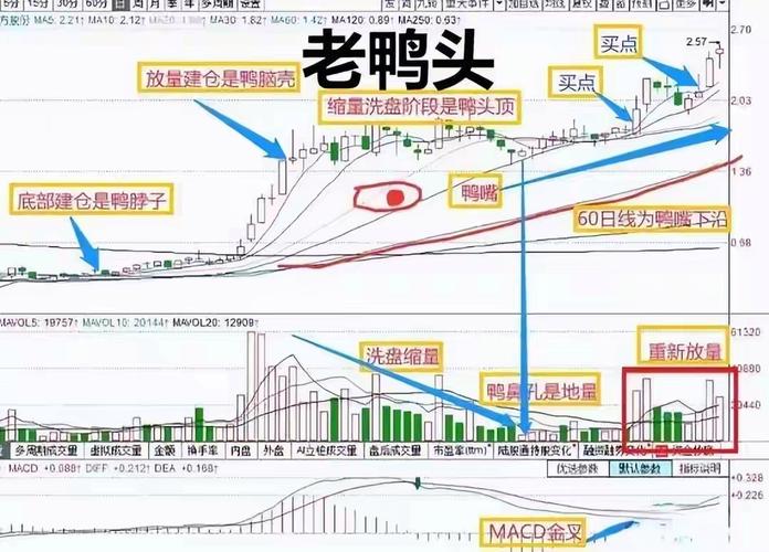 老鸭头形态_老鸭头形态选股图形_老鸭头K线图解