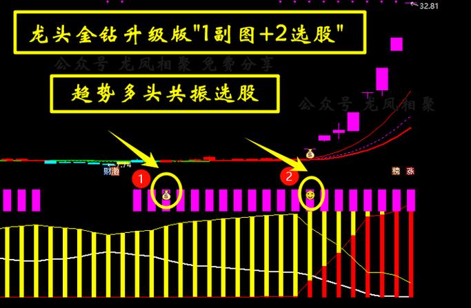 通达信金钻指标麟龙至尊主副图选股45个指标套装_通达信麟龙至尊版指标套装下载_麟龙至尊独立选股
