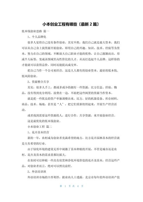 2015年小说出租店创业项目_洗车行小本投资创业_15年代理小本赚钱商机