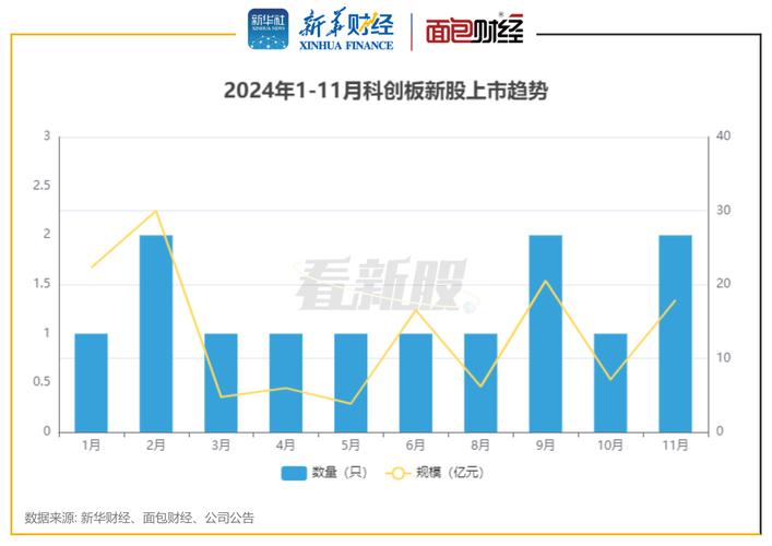 2024年报密集披露，科创板公司业绩向好，投资机会几何？