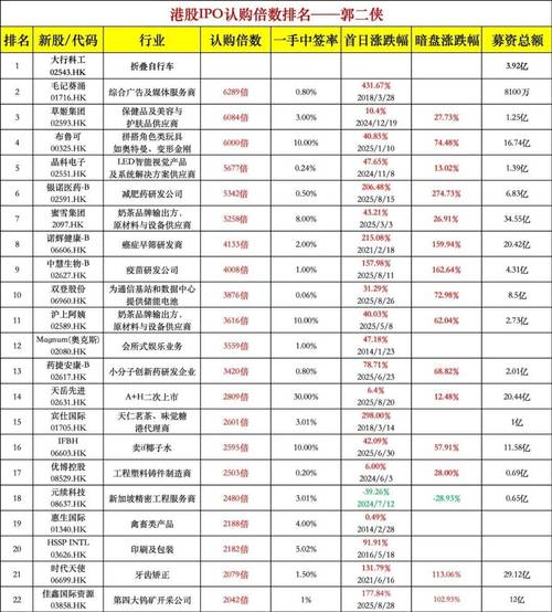 港股配售新股_大行科工港股IPO_大行科工国配机制
