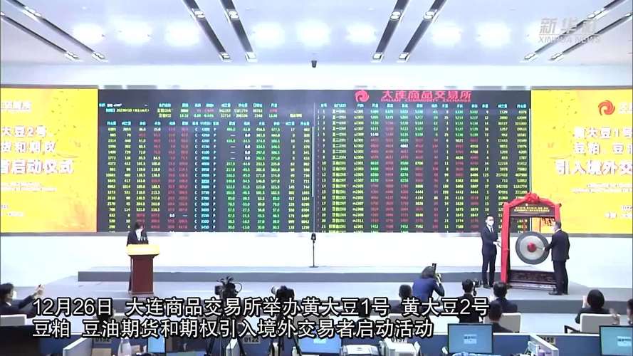 大连商品交易所 黄大豆期货 期权对外开放_豆粨期货上市时间