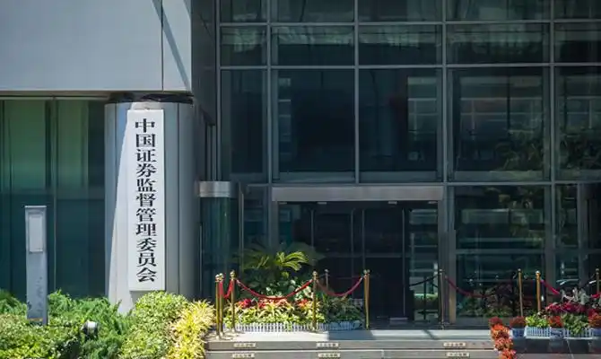 铲除财务造假毒瘤 让造假者受教训长记性：严监严管如何让造假者插翅难逃？