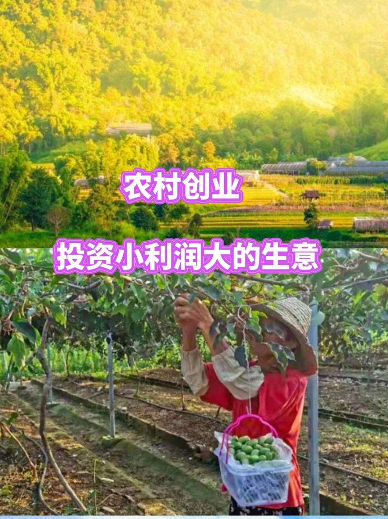 农村婚庆服务_农村创业小本生意_做什么小本生意赚钱