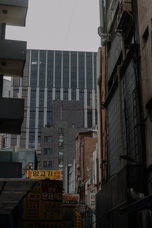 股指期货交易策略_股指期货日内交易交流_趋势跟随策略技巧