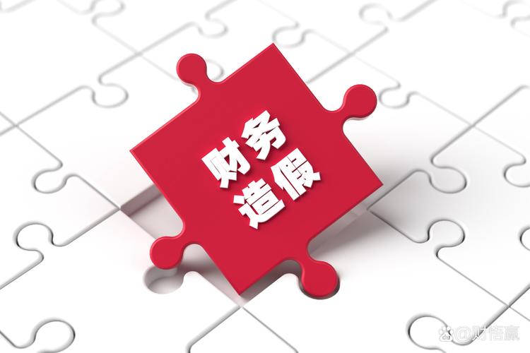 财务造假 司法解释 典型案例_对万福生科财务造假提出建议