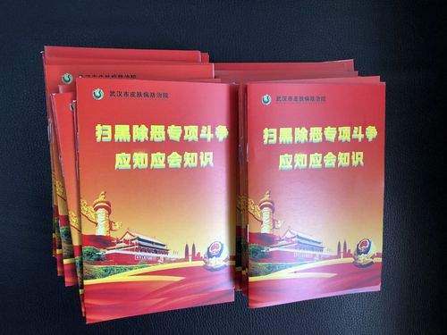 扫黑除恶专项斗争应知应会手册修订本，助力工作深入推进