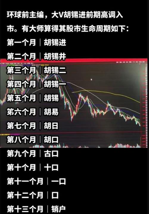 A股市场抄底_胡锡进进入股市_在手机上能炒股吗