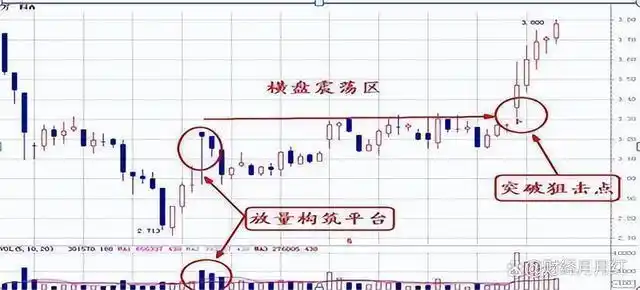 _新股民快速入门必读_ 散户止损策略 