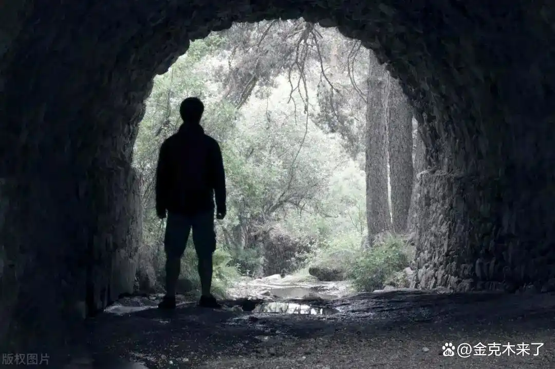 新股民快速入门必读_股票投资资金分配建议_股票市场获利技巧