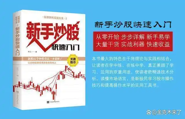 股票市场获利技巧_股票投资资金分配建议_新股民快速入门必读