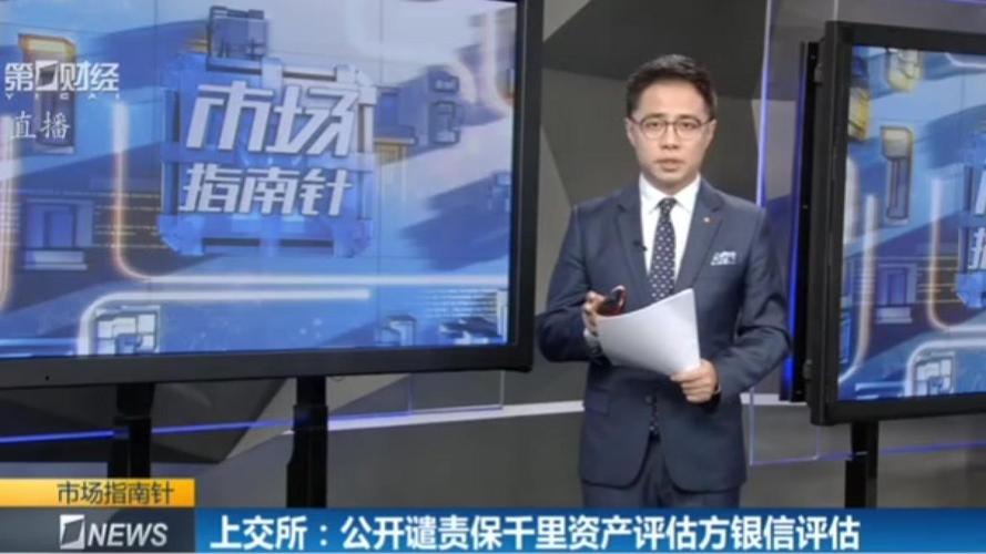 上交所公开谴责！保千里评估机构及评估师存违规事项