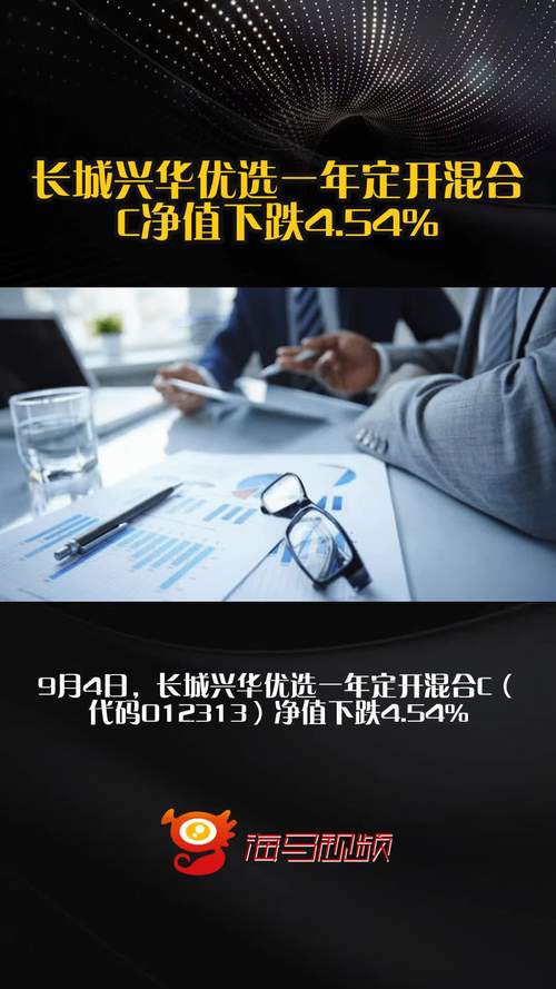 长城兴华优选一年定开混合A最新净值下跌，股票持仓前十占比公布