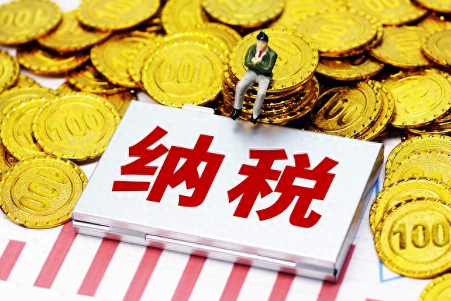 北京小规模开发票最高开票金额万元指什么_增值税一般纳税人认定标准_小规模纳税人税收优惠政策