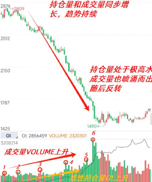 分析机构持仓：洞察期货市场风向，掌握投资关键技能