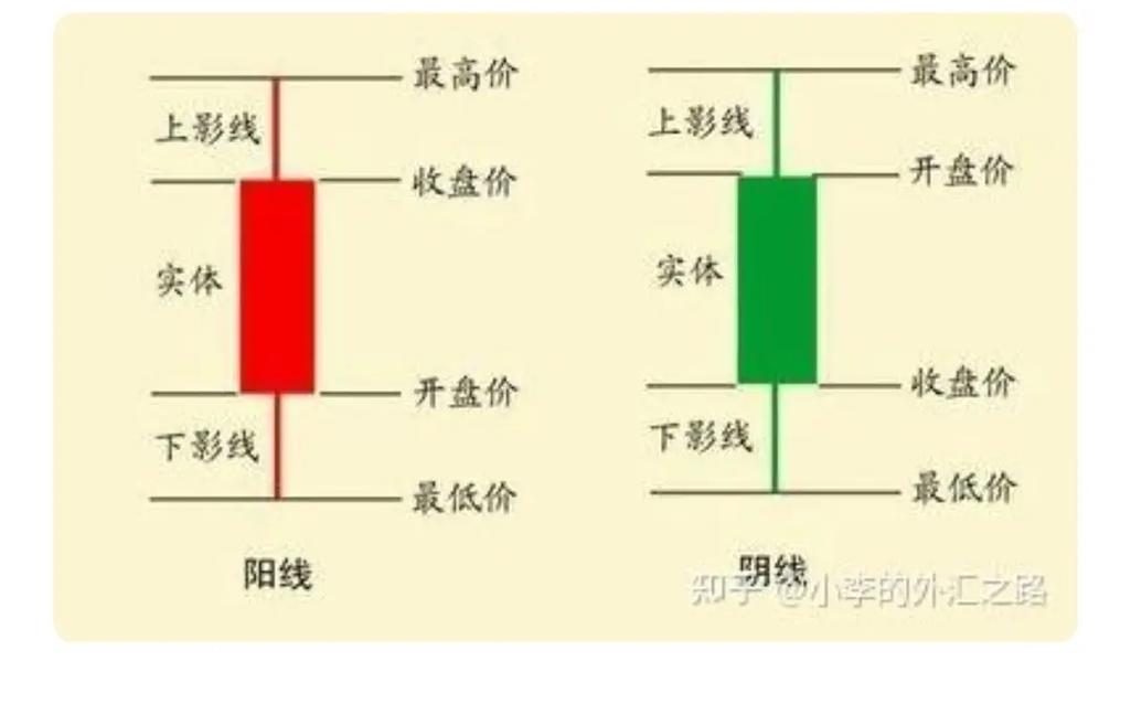 认识量价图，了解 K 线及日 K 线包含的开盘价等价位信息