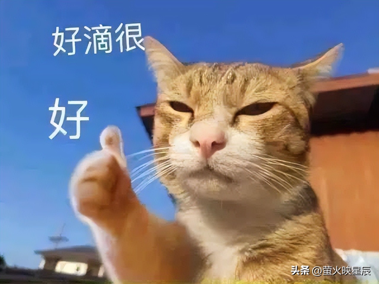 B股历史作用_a股b股新三板创业板_A股市场特点