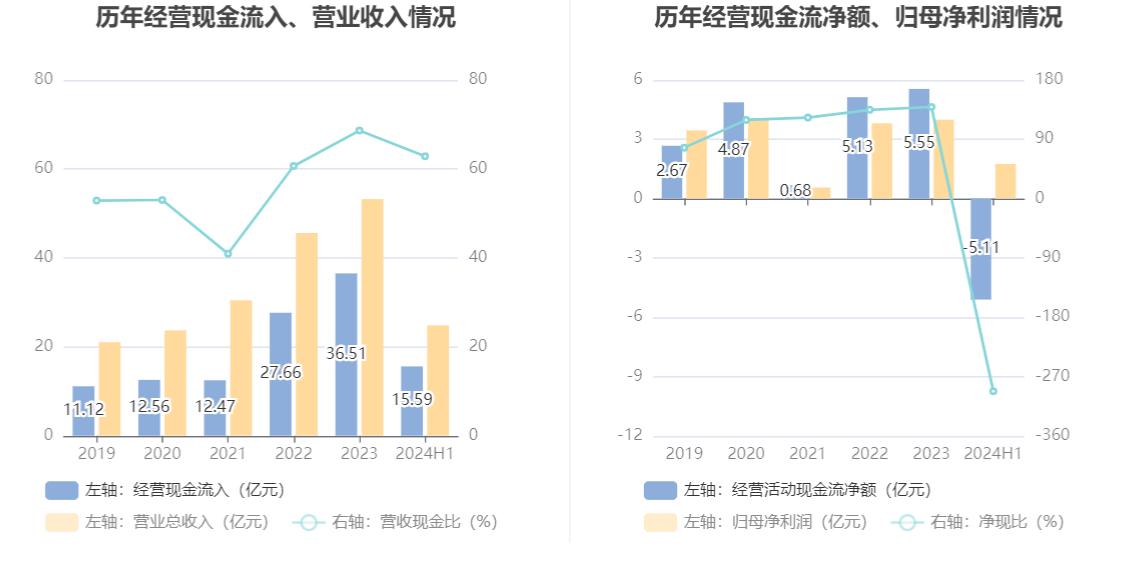 佳电股份股票行情_佳电股份财务分析_佳电股份2024年半年报