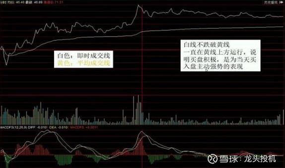 炒股十几年经验分享_股票正t和反t是什么意思_散户亏损死循环分析