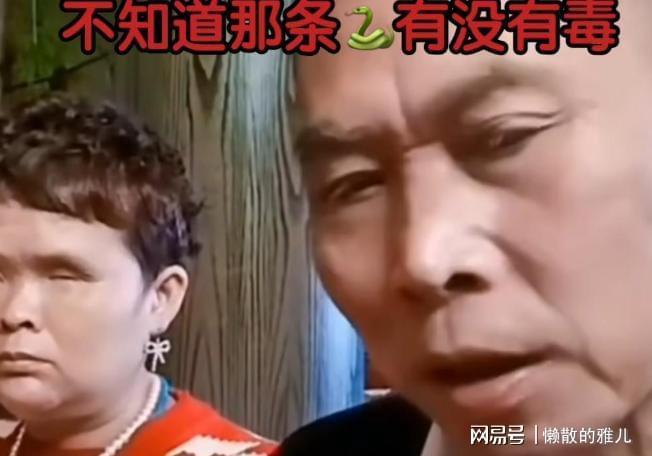 范小勤 马云儿子 红极一时的小网红_马云说未来赚钱