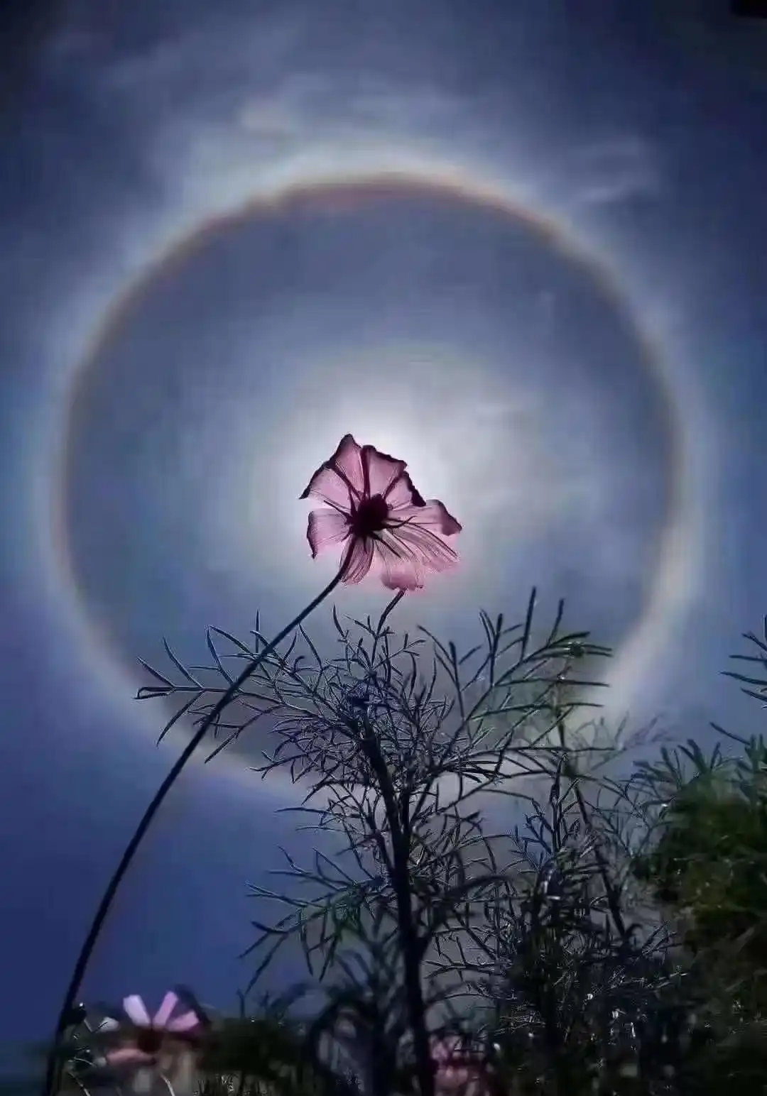 易经对万物规律的预测_证券股票公司禁止易经预测股票_周易股市预测