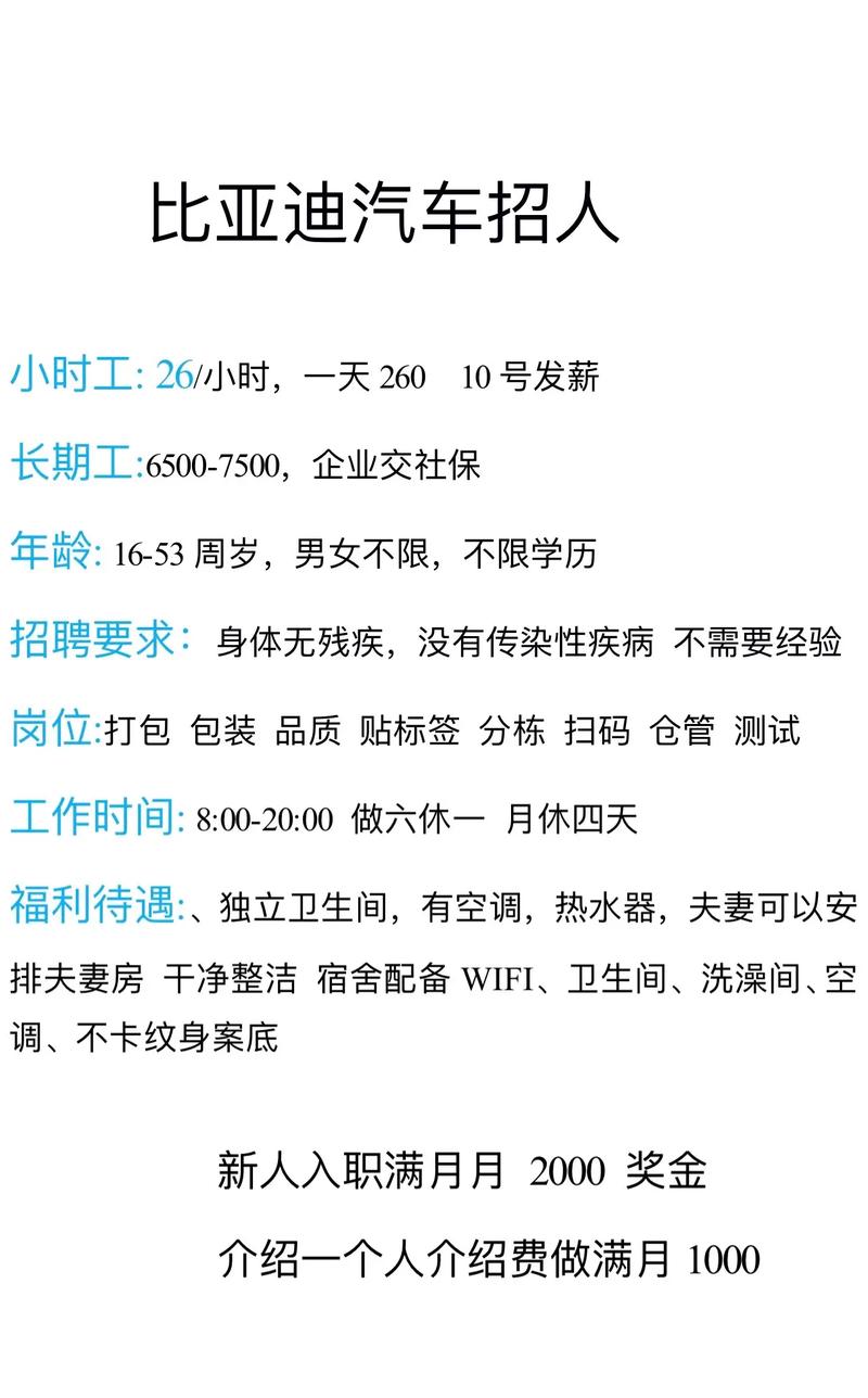 深圳比亚迪工资怎么样_芜湖比亚迪招聘_芜湖新能源汽车电池产业