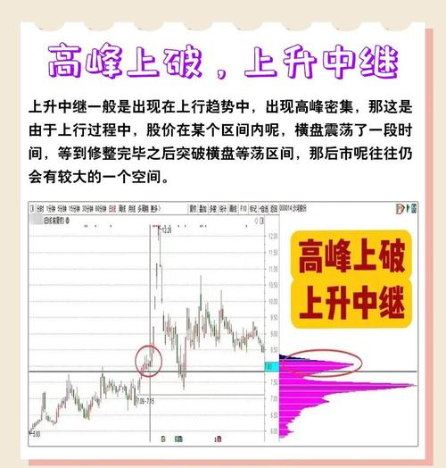 用筹码集中度选股？看璞泰来主力动向与支撑位