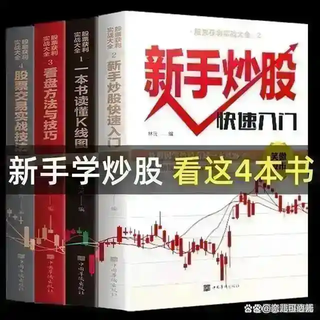 股票技术分析_高开低走线选股公式_价值投资