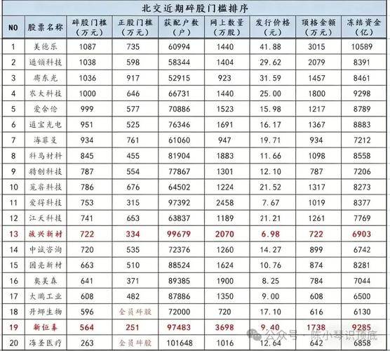 IPO散户配售比例_发行新股的条件_SpaceX新股发行策略
